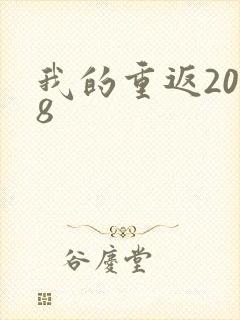 我的重返2008