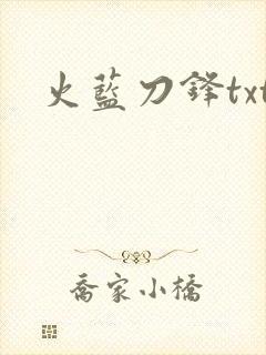 火蓝刀锋txt