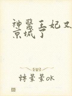 神医王妃又轰动京城了