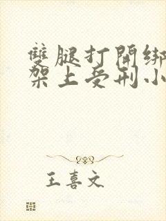 双腿打开绑在刑架上受刑小说