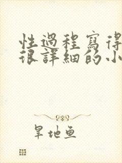 性过程写得很黄很详细的小说