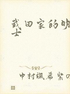 武田家的明国武士