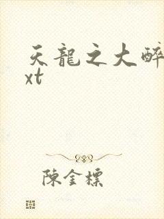 天龙之大醉侠txt