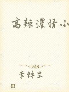 高辣浓情小说