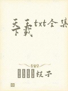 天王txt全集下载