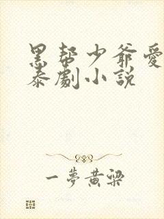 黑帮少爷爱上我泰剧小说