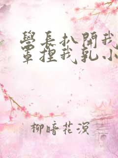 学长扒开我的乳罩捏我乳小说