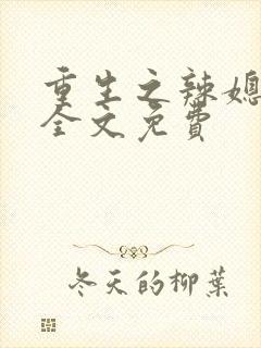 重生之辣媳当家全文免费