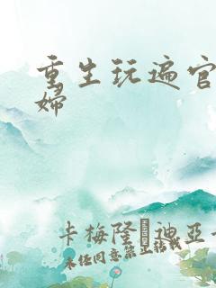 重生玩遍官场贵妇