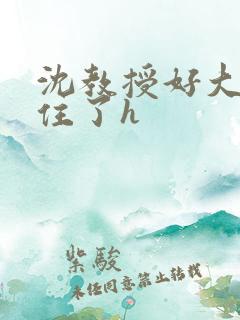 沈教授好大含不住了h