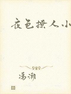 夜色撩人小说