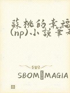 苏桃的幸福生活(np)小说笔趣阁沐沐