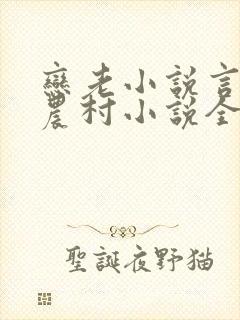 恋老小说言情网农村小说全文阅读