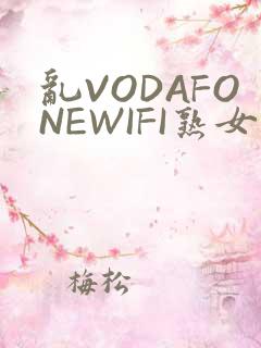 乱VODAFONEWIFI熟女
