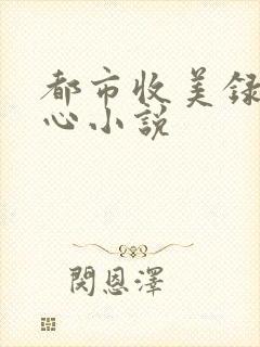 都市收美录宁素心小说