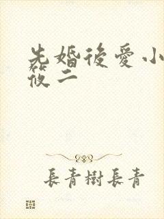 先婚后爱小说梦筱二