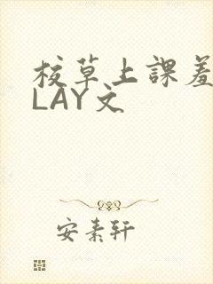 校草上课羞耻PLAY文