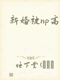 新婚被np高h