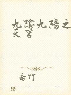 九阴九阳之武战天穹