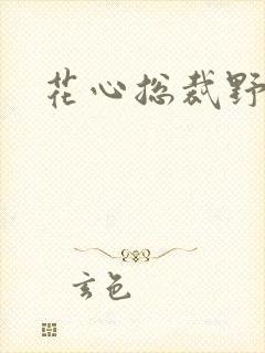 花心总裁野蛮妻