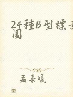 24种B型标意图