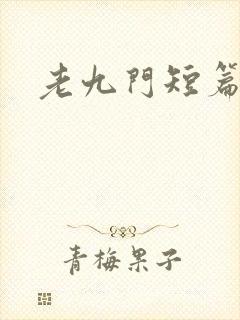 老九门短篇集