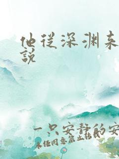 他从深渊来 小说