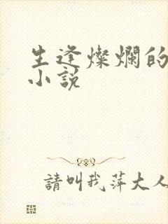 生逢灿烂的日子小说