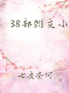 38部杂交小说