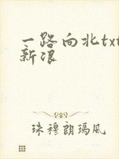 一路向北txt新浪