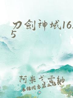 刀剑神域16.5