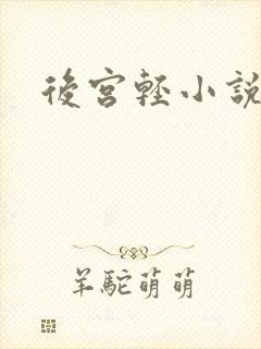 后宫轻小说