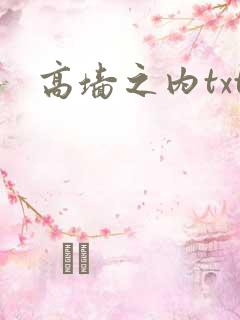 高墙之内txt