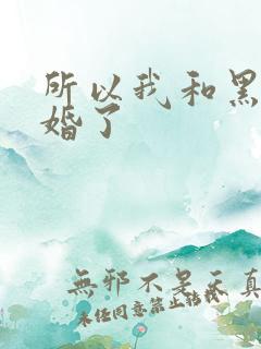 所以我和黑粉结婚了