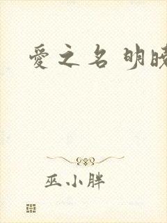 爱之名 明晓溪