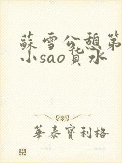 苏雪公憩第一章小sao货水