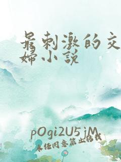 最刺激的交换夫妇小说