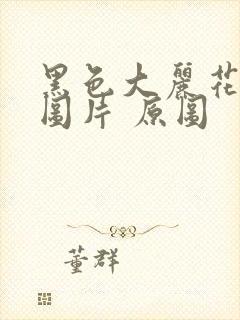 黑色大丽花真实图片 原图