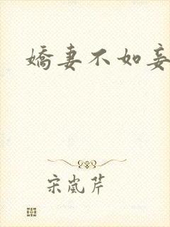 娇妻不如妾
