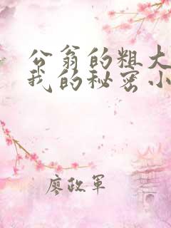 公翁的粗大放进我的秘密小说