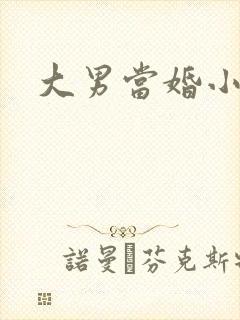 大男当婚小说