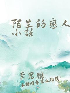 陌生的恋人原著小说