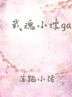 武魂小坏ga