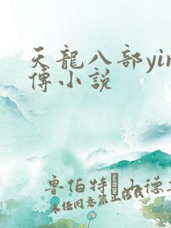 天龙八部yin传小说
