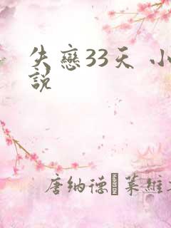 失恋33天 小说