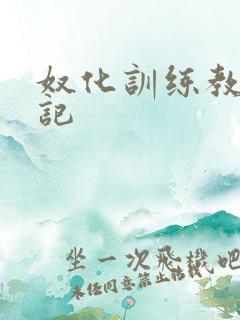 奴化训练教程日记