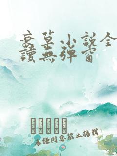 衰草小说全文阅读无弹窗