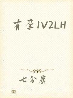 有孕1V2LH