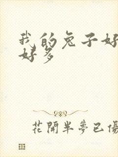 我的兔子好软水好多