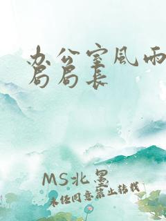 办公室风雨教育局局长